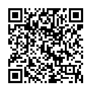 这么一个天才就因为看不清形势即将陨落在本老祖手中二维码生成
