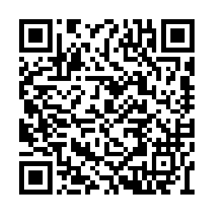 这么一个小小的人头与这样的庞然大物相比起来二维码生成