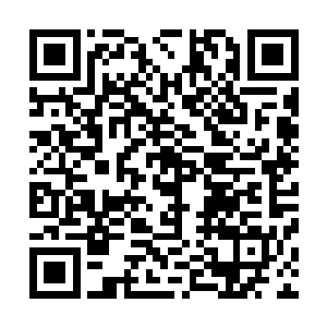 这么一想贝海就把一点儿绿水儿倒进了盛鱼获的塑料箱子里二维码生成