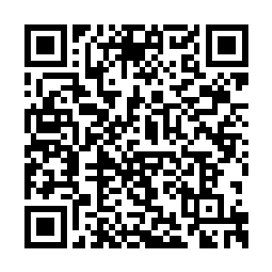 这么一条纯粹有混沌的破碎道痕凝聚而成的大河二维码生成