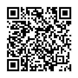 这么一段时间回来都是吃完饭看新闻联播都能把你看睡着二维码生成