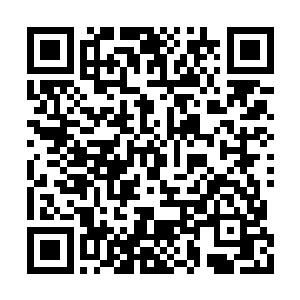 这么一点冰封的力量也不足以威胁到任何的人了二维码生成