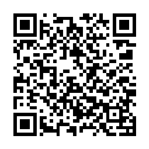 这么个现在到处打得支离破碎的国家我有什么兴趣回来二维码生成