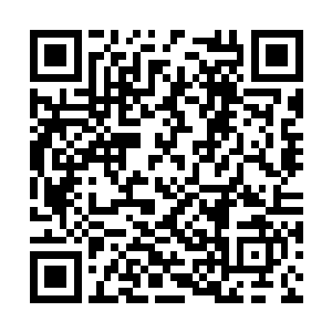 这么些年京华投资参与了多个重大项目的投资入股二维码生成