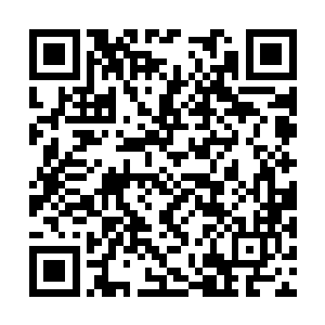这么做就是为了让夏天了解整个战场的第一手情报二维码生成