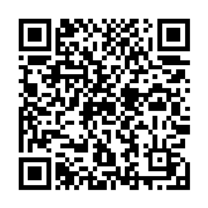 这么匆忙要转让给陆海集团活着嘉桓公司这部分股权的话二维码生成