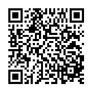 这么多根石柱他根本就没法办法找出属于古玉仙王自身的那一根二维码生成