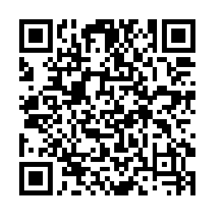 这么多的老老少少的资历或深或浅的大夫都听从他的二维码生成