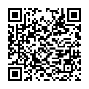 这么多的高手就是没有任何一个人发现是怎么回事二维码生成