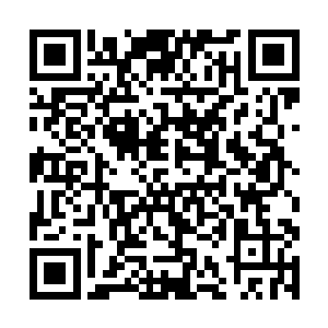 这么多菜和肉我们怎么……吃的完呢……还有这布料二维码生成