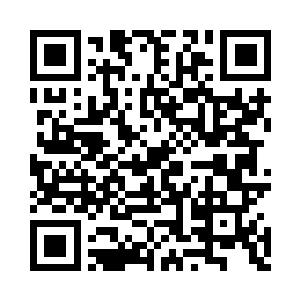 这么大点儿的东西几只狐狸明显是不够吃的二维码生成