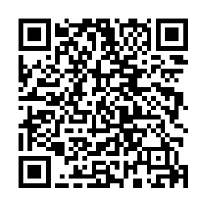 这么大的事情也不可能是某位分管领导一个人能说了算的二维码生成