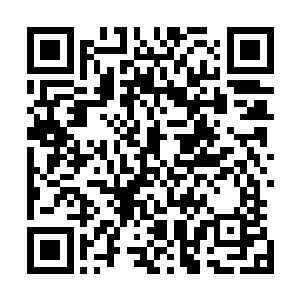 这么小的鱼都是十八万五千美元这价格让贝海既欣喜又悲伤二维码生成