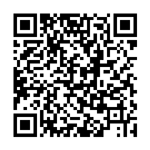 这么平庸的词汇根本不足以形容这里的生物丰富程度二维码生成