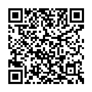 这么年轻的天级战士无疑是会给太阳系无限加分二维码生成