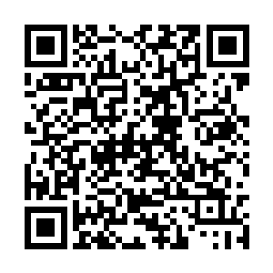 这么庞大的知识想要段时间内完全消化是不可能的二维码生成