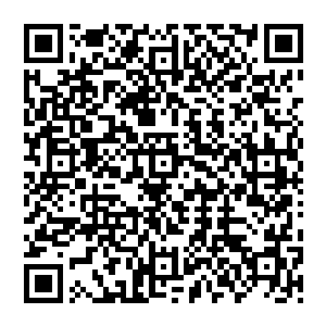 这么恶劣的事情我要是跟你们追究起来就算灭了你们两大家族都无法抹平对猎鹰武馆的声誉伤害二维码生成