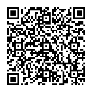 这么想着迈克的时候就觉得大白鲨身上那带着粗糙颗粒感的皮肤就擦到了自己的小腿肚子二维码生成