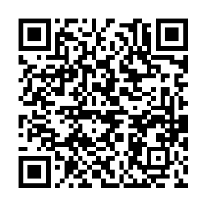 这么看来这一切是和那净化之源是有着一定关系的二维码生成