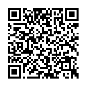 这么罪大恶极的杀人在逃犯你们居然没有查出来二维码生成