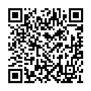这么说……他……他他他最多只用了几天的时间二维码生成