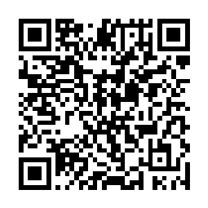 这么说……逍遥岛果然是要在最近进入红荒秘境之中二维码生成