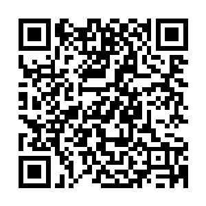 这么重要的事你还忘了跟我说了~~~差一点我就要把纸泡在水里了二维码生成