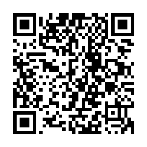 这么长的假期要是总呆在这边实在是太浪费了……就这么决定了二维码生成