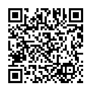 这么难得的东西怎么会允许我们飞升修士随便进去呢二维码生成