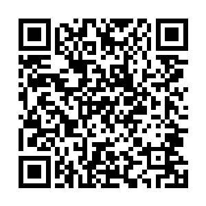 这么高的树不用梯子贝海如何有本事把一树的桃儿弄下来二维码生成