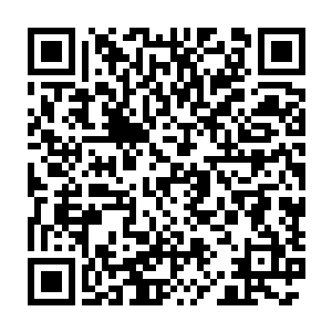 这九个点是我用你给我的那些仙器碎片分离出来的最好材料炼制的二维码生成