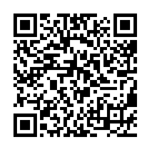 这九个飞天婴颅之前刚刚吞食了县丞章显的血肉仙丹二维码生成