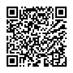 这九品后期的本体强度根本就无法抵挡对方的下品先天仙宝二维码生成