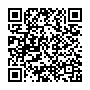 这九幽玄鸟终于成功的把这冥兽的真灵之体炼化成功二维码生成