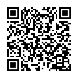 这九重虚幻世界你们没有半个小时的时间是无法攻破的二维码生成