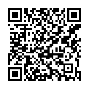 这也不妨碍他打遍几百个星球……打遍几百座城镇无敌手二维码生成