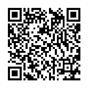 这也不排除秦方再次和肖楠合作搞这个电池企业的二维码生成