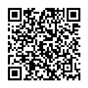 这也不能全怪负责监视的这几位年轻的山口组成员二维码生成