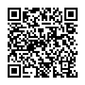 这也使得奥斯卡的影帝争夺成为了最大看点之一二维码生成