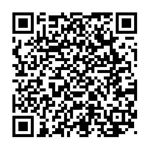 这也使得星光大道成为了洛杉矶街头表演者们最热爱的表演地之一二维码生成