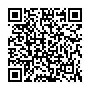 这也关系到红地毯之上男演员们之间竞争的走向二维码生成
