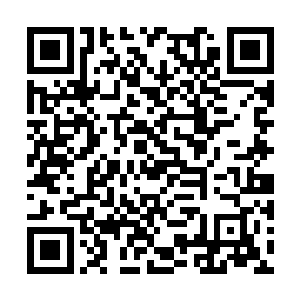 这也就养成了许人杰在腾龙高校横行霸道的性子了二维码生成