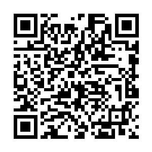 这也就意味着今天下午的慈善表演就要正式拉开序幕了二维码生成