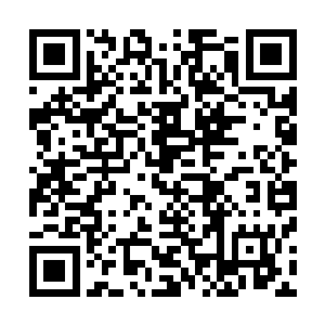 这也就意味着第六十七届奥斯卡的竞争已经真正拉开了序幕二维码生成