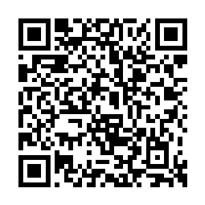 这也就意味着红烛果距离真正的成熟又更近一步二维码生成