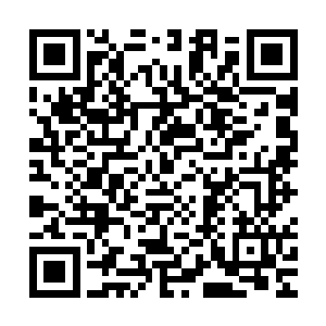 这也就是为什么我当年从海里把跹跹捞起来的时候她浑身是伤了二维码生成