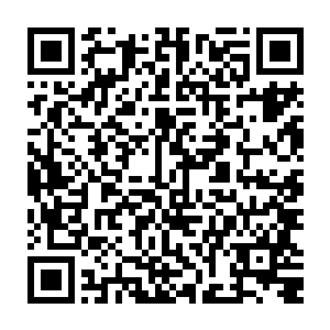 这也就是格力斯的身体数据为什么能在学校里把所有学生都压下去的原因……二维码生成