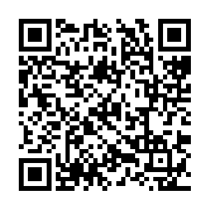 这也应该是陈诚第一次在正式比赛中使用这个英雄二维码生成