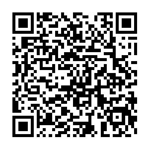 这也得益于国内畜牧产业的发展――想赚外汇的单位的个人组成的合力二维码生成