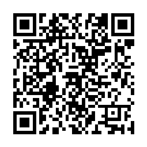 这也怪不得魔熊部落几个部落看到部落轴心铁路会眼红二维码生成